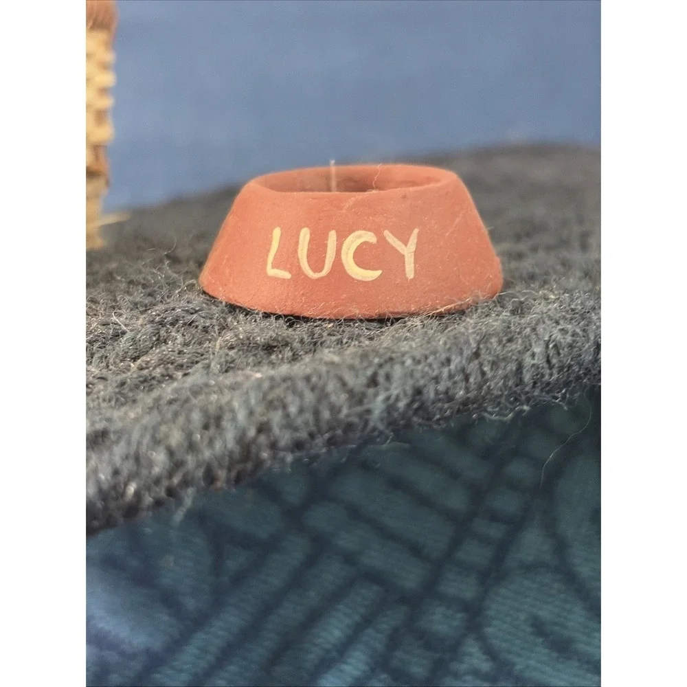 Lizzie High Lucy The Cat With Kittens On Rug No Doll